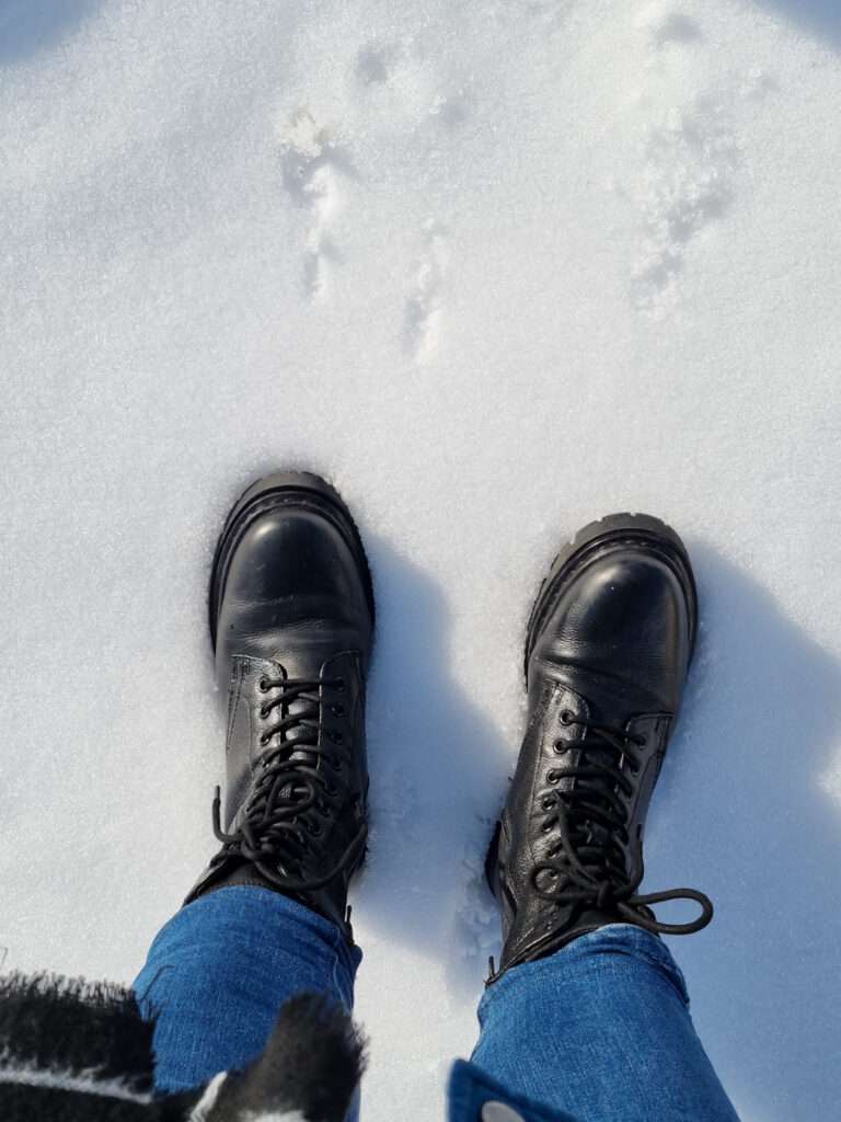 schoenen sneeuw