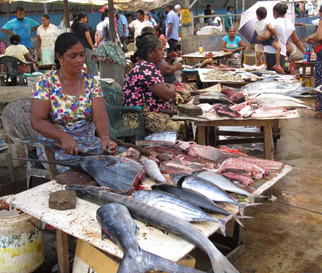 vismarkt negombo