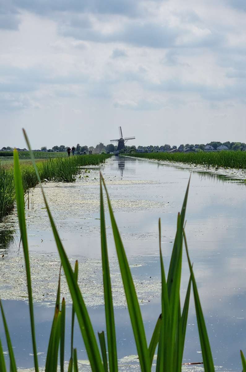 pad door de polder