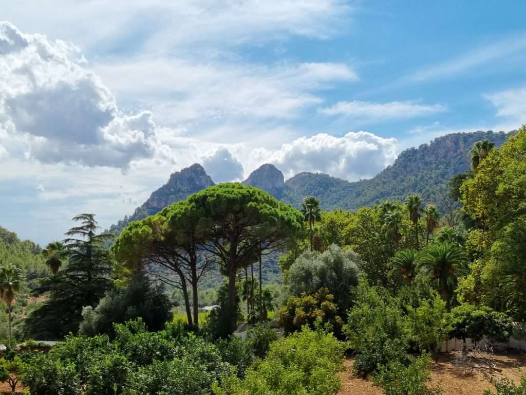 Jardins D'Alfabia Mallorca